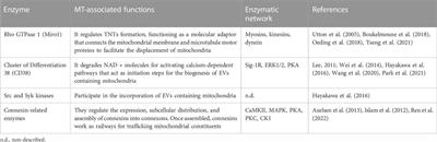 Exploring the therapeutic potential of the mitochondrial transfer-associated enzymatic machinery in brain degeneration